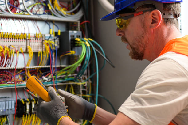 Best Electric Panel Repair  in Chaparral, NM